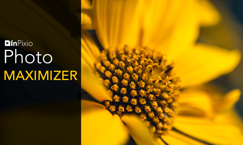 InPixio Photo Maximizer Pro v5.3.8624.22321 英文安装版 – AI驱动的图像放大增强工具
